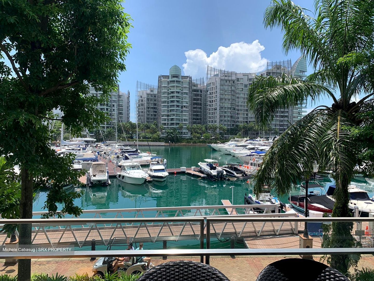 Marina Collection (D4), Condominium #344992401